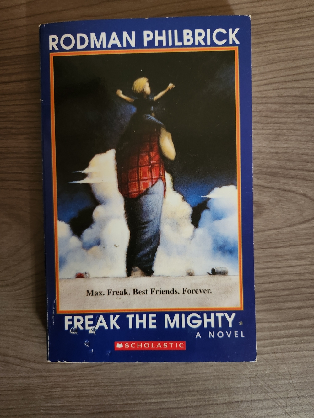 Freak the Mighty - Children’s Novel